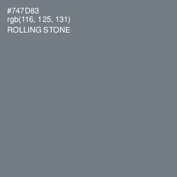 #747D83 - Rolling Stone Color Image